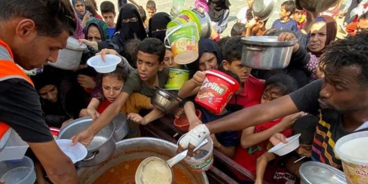 Kisah warga Gaza yang berusaha mencari makanan di reruntuhan rumah mereka