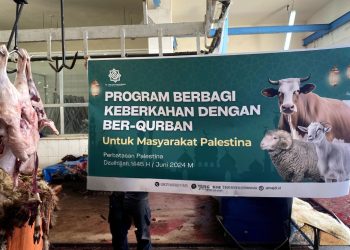 Yayasan Al Majdi Indonesia Bagikan Qurban di Kamp Al Mahatta untuk Warga Palestina